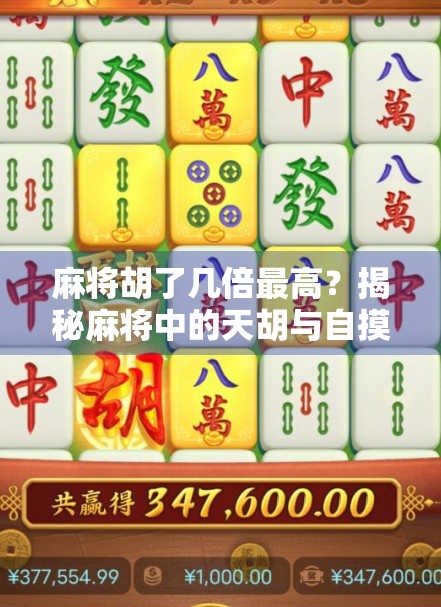 麻将胡了几倍最高？揭秘麻将中的天胡与自摸王背后的数学逻辑与玩家智慧！