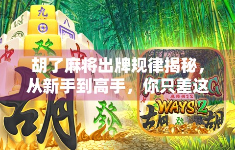 胡了麻将出牌规律揭秘，从新手到高手，你只差这一步！